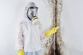 Mold Remediation for Vacation Homes in Double Springs, AL